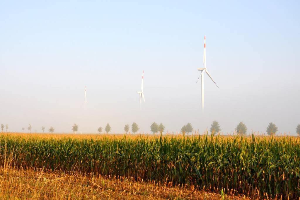 Ferienhaus Woddow Uckermark Buitenkant foto