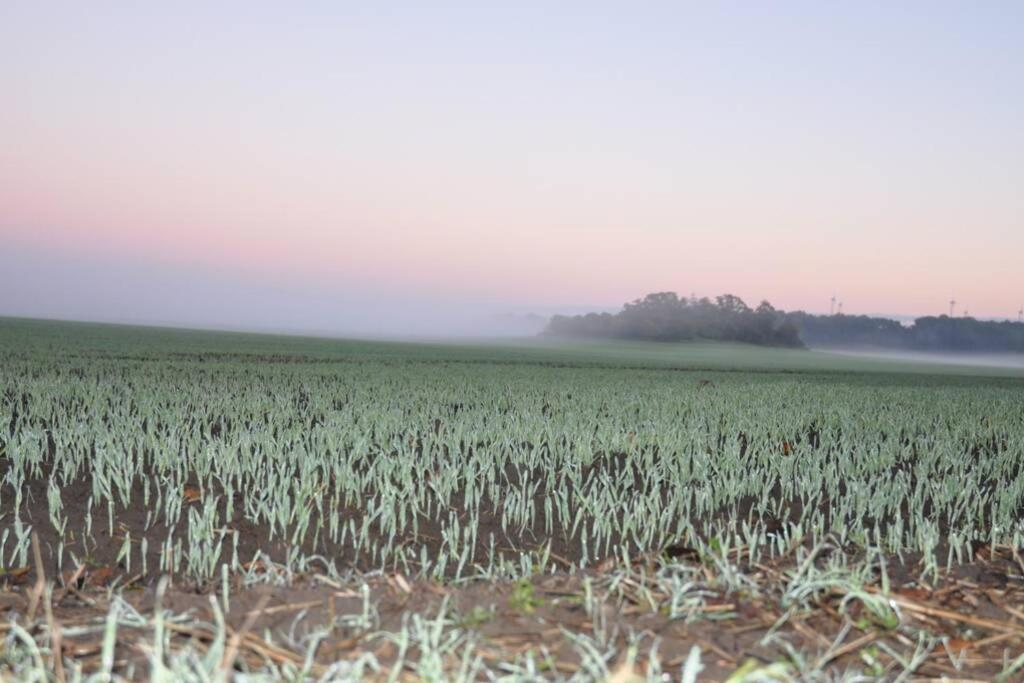 Ferienhaus Woddow Uckermark Buitenkant foto